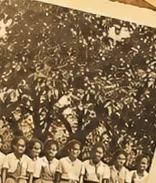 A line of Kampala Parents students beneath a tree